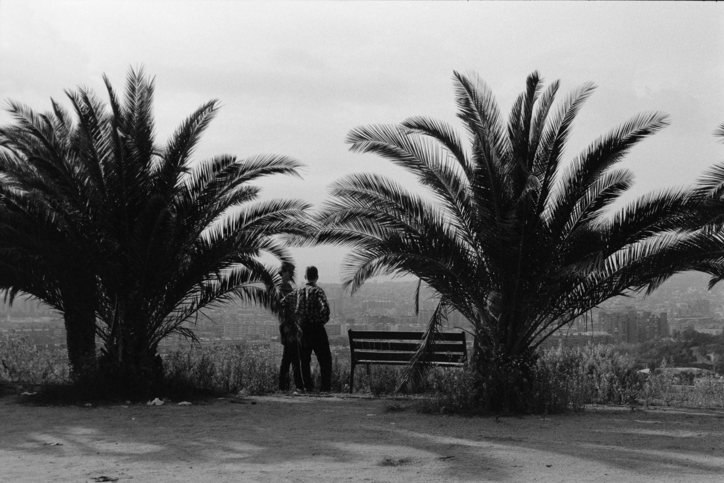 AHP F1995 10 001 sc240815 img32 NLP